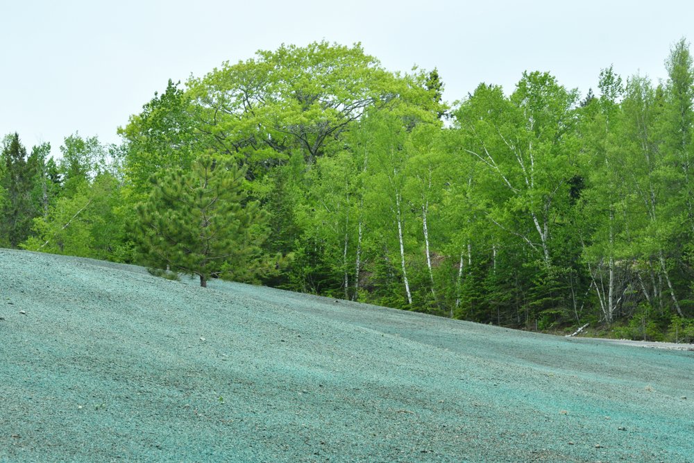 Champlin MN Hydroseeding